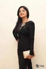 Poonam Kaur At Thikka Movie Audio Launch